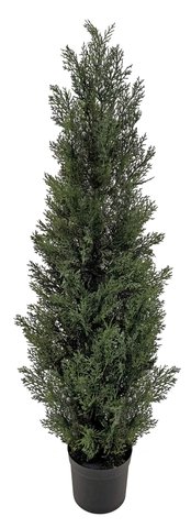 shishi Cedar potted green 1 2m UV RESISTANT