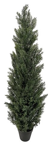 shishi Cedar potted green 1 5m UV RESISTANT