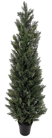 shishi Cedar potted green 1 8m UV RESISTANT