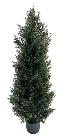shishi Cedar tree in plastic pot 1 2m UV RESISTANT