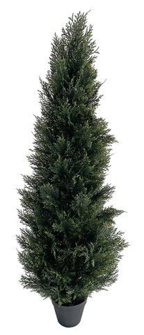 shishi Cedar tree in plastic pot 1 5m UV RESISTANT