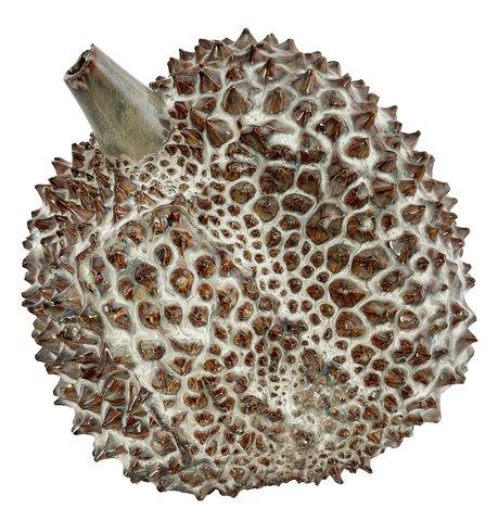 shishi Ceramic durian vase brown d16-19;h20cm