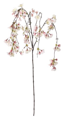shishi Cherry blossom hanging pink 130cm