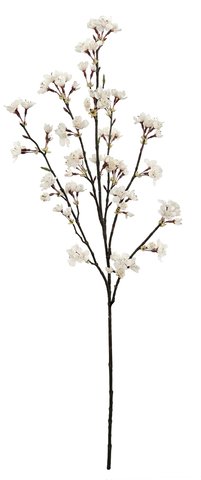 shishi Cherry blossom light pink 1m