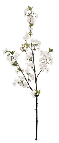 shishi Cherry blossom lt pink 113cm