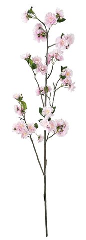 shishi Cherry blossom pink 134cm
