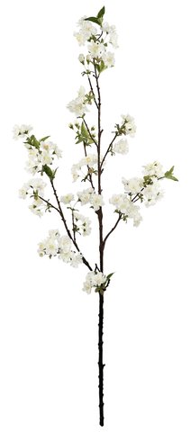 shishi Cherry blossom white 113cm