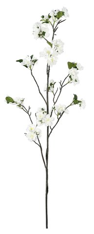 shishi Cherry blossom white 134cm