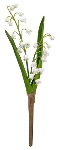 shishi Convallaria x2 white 30cm