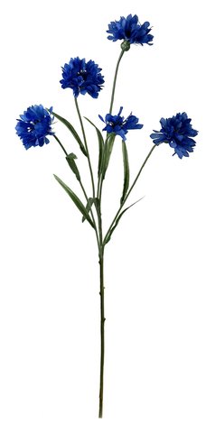 shishi Cornflower blue 57cm shishi Cornflower blue 57cm