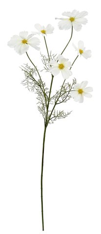 shishi Cosmos white 90cm