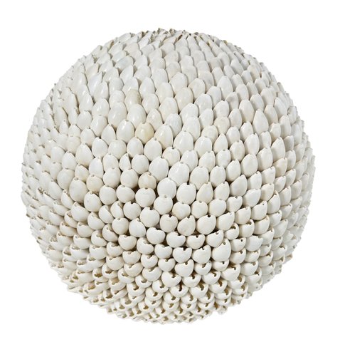 shishi Cyperea shell ball white 24cm