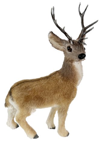 shishi Deer brown 19x9x25cm