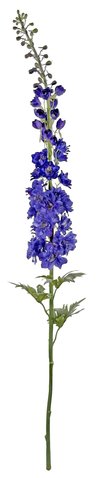 shishi Delphinium blue 137cm shishi Delphinium blue 137cm