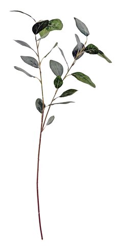 shishi Eucalyptus branch grey green 90cm