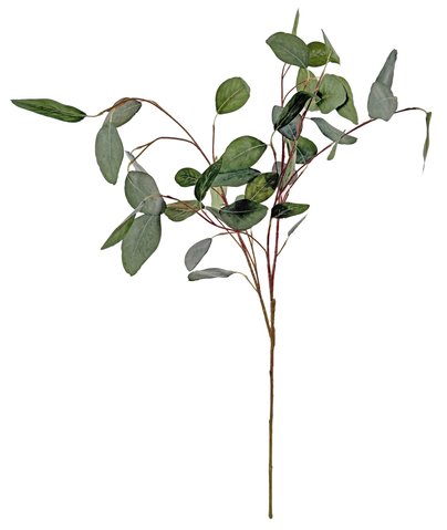 shishi Eucalyptus branch grey green 95cm