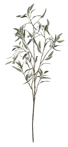 shishi Eucalyptus branch with berries 120cm