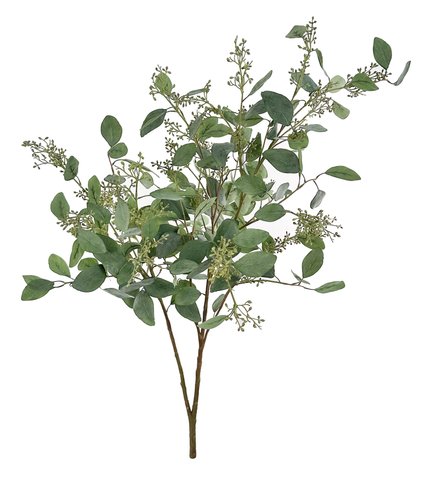 shishi Eucalyptus branch with seeds 110cm