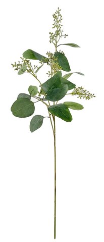 shishi Eucalyptus branch with seeds 95cm
