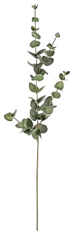 shishi Eucalyptus green 80cm
