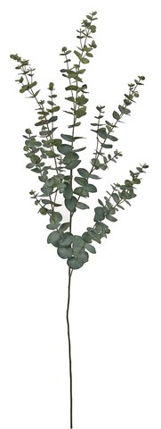 shishi Eucalyptus grey-green 145cm