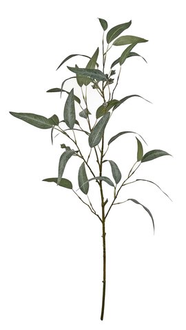 shishi Eucalyptus with berries grey-green 99cm