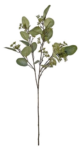 shishi Eucalyptus with seeds green-grey 75cm