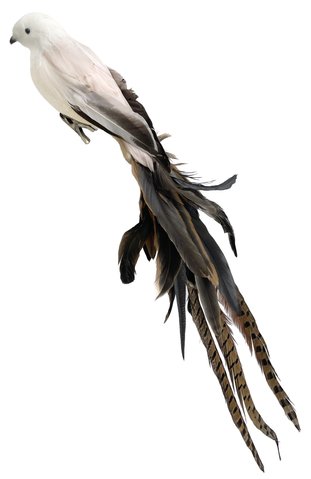 shishi Feather bird beige brown tail 55cm