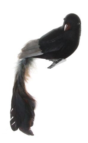 shishi Feather bird black 22cm