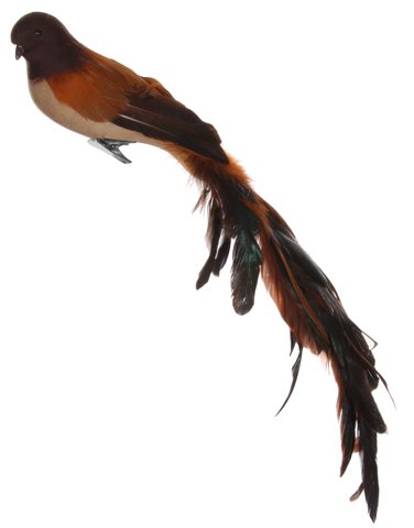shishi Feather bird brown 45cm