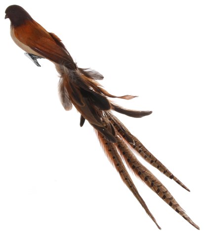 shishi Feather bird brown 55cm