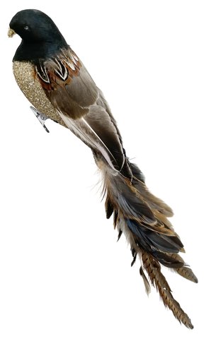 shishi Feather bird glass glitter body brown 56