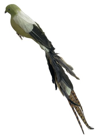shishi Feather bird green 55cm