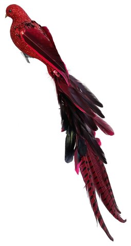 shishi Feather bird red glitter sequin body wit