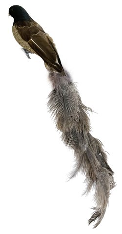 shishi Feather bird silver glass glitter body w