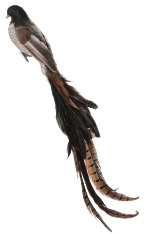 shishi Feather bird silver glass glitter brown