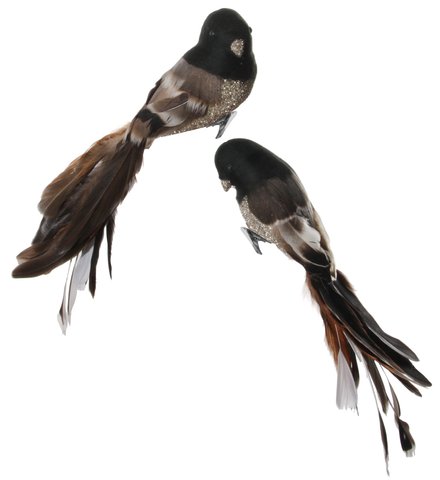 shishi Feather bird silver glass glitter brown