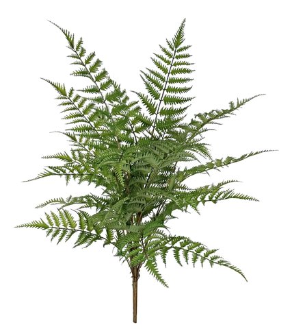 shishi Fern bush green 80cm