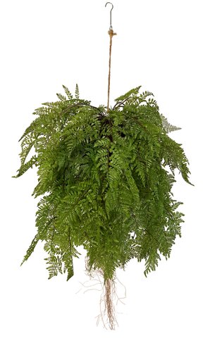 shishi Fern deco hanging green 125cm
