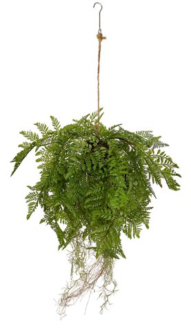 shishi Fern deco hanging green 75cm
