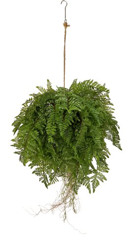 shishi Fern deco hanging green 85cm