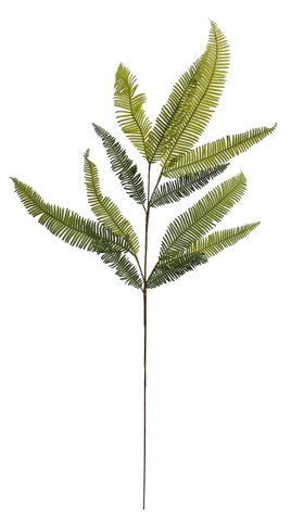 shishi Fern green 99cm