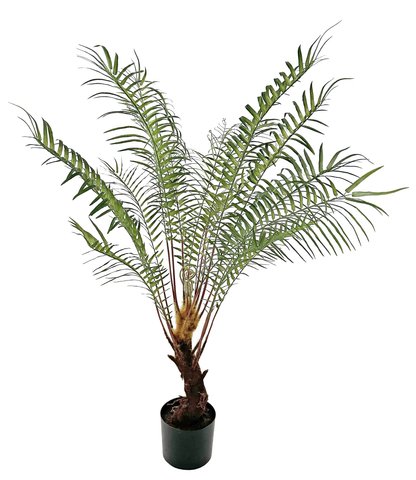 shishi Fern in pot green 135cm