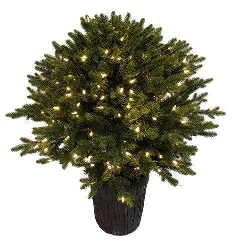 shishi Fir ball in pot 350LED EU OUTDOOR 90cm (3')