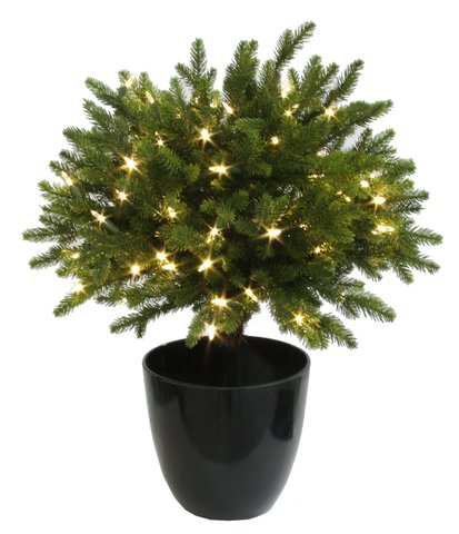 shishi Fir Ball w/pot 100LED EU OUTDOOR 60cm
