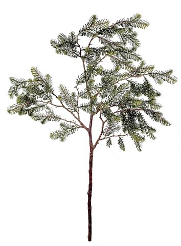 shishi Fir branch green 110cm
