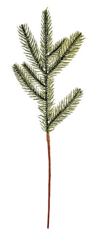 shishi Fir branch green 37cm