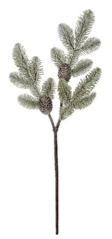 shishi Fir branch with cones frosted 65cm