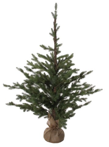 shishi Fir tree jute base 120cm