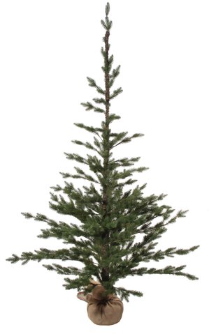 shishi Fir tree jute base 180cm